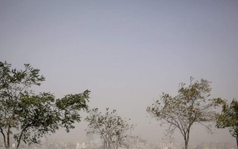 کاهش دما و بارش در نوار شمالی کشور